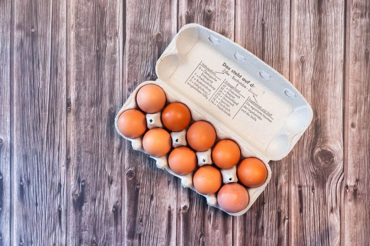 Frische Eier 10er Pack